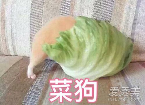 lol�·���ʲô��˼ lol�·���ʲô��