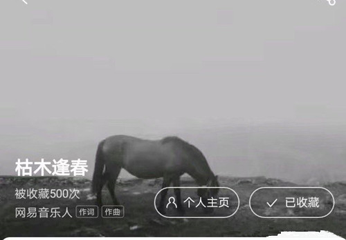 民谣歌手枯木逢春是谁 枯木逢春歌手个人资料