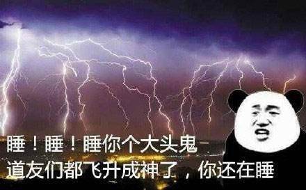 何方道友在此渡劫是什么意思 何方道友在此渡劫什么梗