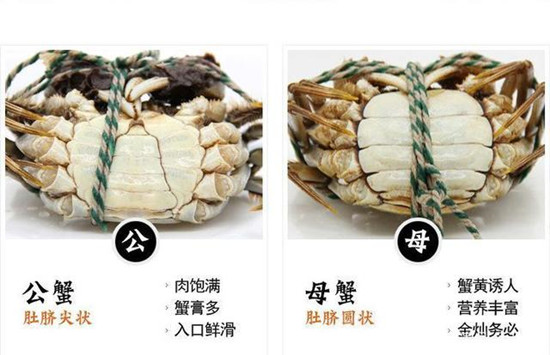 ĸ�з������ʲô��״ ĸ�з���ӵ�ͼƬ