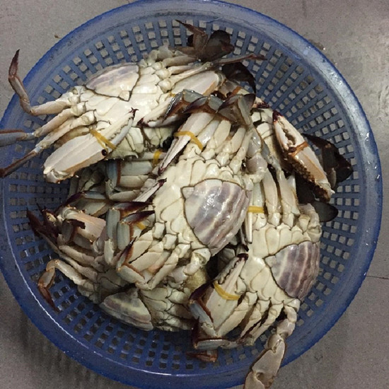 ĸ�з������ʲô��״ ĸ�з���ӵ�ͼƬ