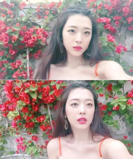 ��ѩ����ɱ�������� ��ѩ�����������ع�