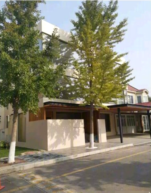 ��һ��񽱱���ʲô���ӣ�����������,ԭ������������