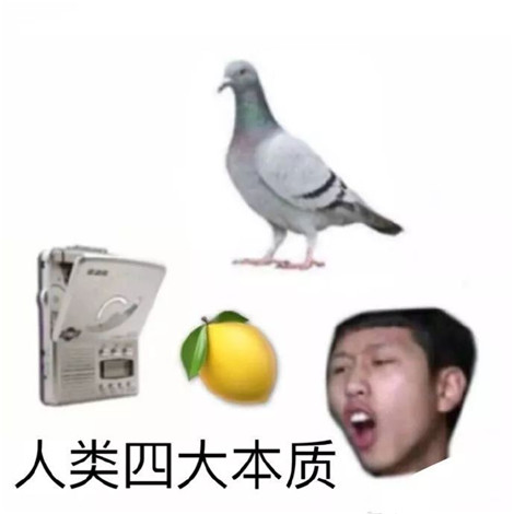 �����������ʹ��������������ʲô��˼