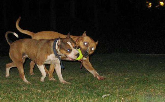 ���Ϲ�����ʲôԤ�� �����й�������ʲô�·�����