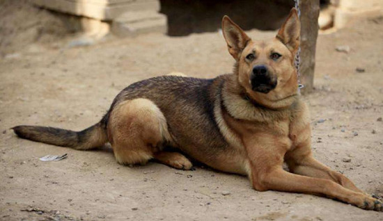 ���Ϲ�����ʲôԤ�� �����й�������ʲô�·�����