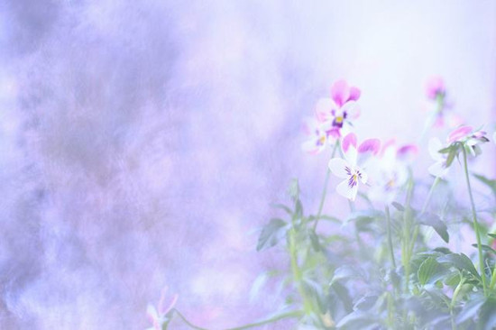 日柱是什么意思 日柱可以看哪些信息