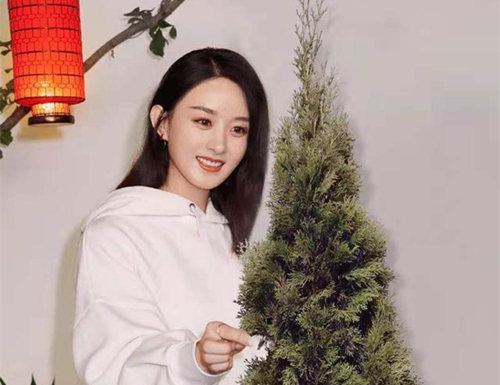 冯绍峰p成圣诞树是什么情况?终于真相了,原来是这样!