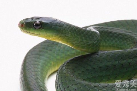 ����2022�����Ƽ��˳���� 2022�������˵�ȫ��ÿ������