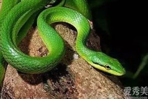 ����2022�����Ƽ��˳���� 2022�������˵�ȫ��ÿ������