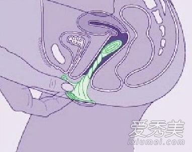 ��ͼ��ϸ��ʾŮ�ñ����׵��÷�