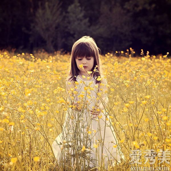 裺12Ф2016ҪעЩˮ
