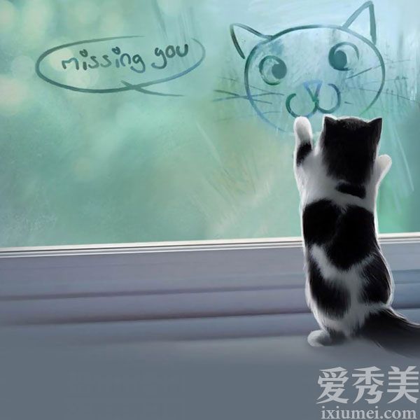 裺12Ф2016ҪעЩˮ