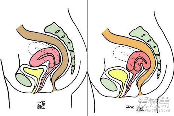 һ��ͼֱ�۵ظ������ӹ�ǰλ�ͺ�λ�Ĳ��_�ӹ���λ��ǰλ����