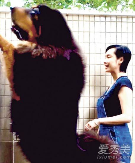 �ƹ��мҾ��Ͳ����ع� �߳���������ͷ_�������