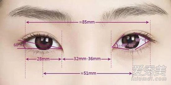 ˫��Ƥ������������ ����˫��Ƥ����ȱ��_����˫��Ƥ����