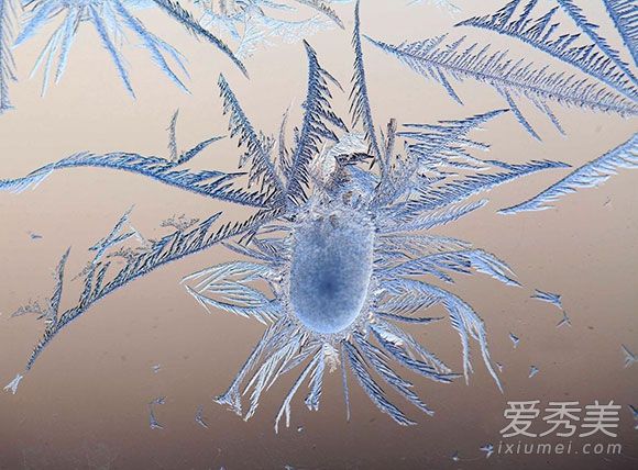 �μ�����׷ɱ��ʲô��˼���μ�����׷ɱ�ò��ã�_�ε�����׷ɱ