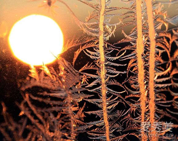 �μ�����׷ɱ��ʲô��˼���μ�����׷ɱ�ò��ã�_�ε�����׷ɱ