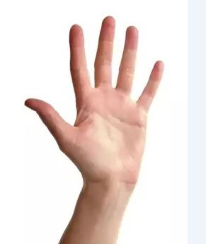 有这几种特征的人早晚要发大财!你有吗?_面相看财运