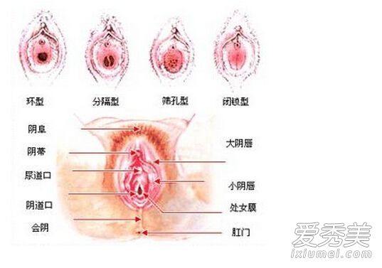 ��ŮĤ��ʲô������ŮĤ������������ʲô��_��ŮĤ��ʲô����