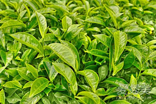 ���̲���Լ������̲��������Ч�����ý���_��ʲô�����