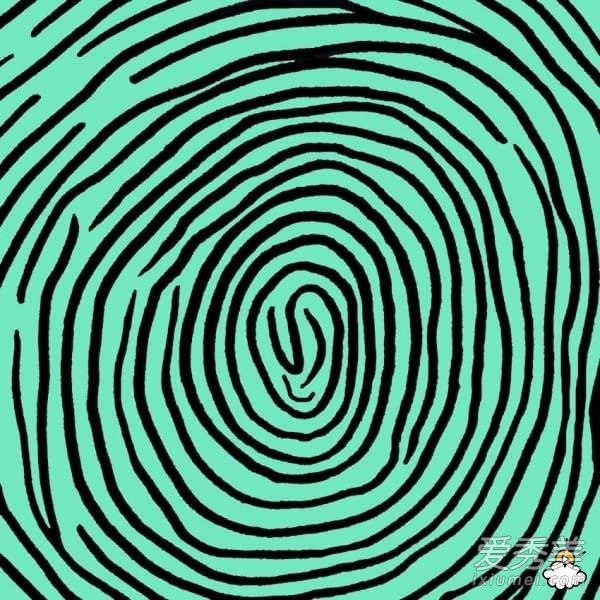 准爆了!8种类型“指纹”看出你的个性_看手相算命图解