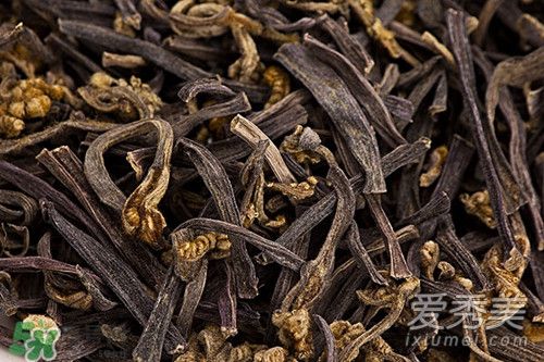 ާ���°�������𣿳�ާ�˻��°�ô_�°����߲�