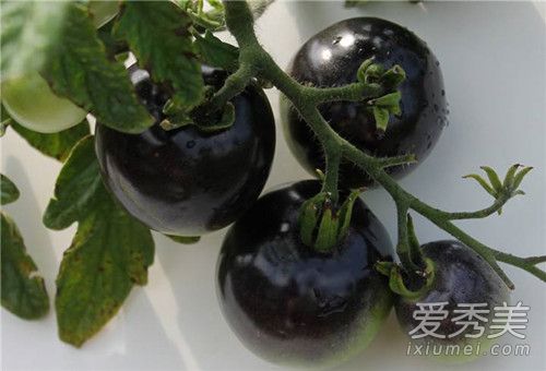 黑珍珠番茄你见过么?黑珍珠番茄怎么挑选好吃又好看?_黑番茄能吃吗
