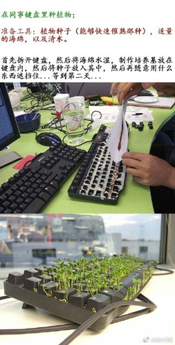 ���˽���ô׽Ū��?���˽�׽Ū�˷�����ȫ2017