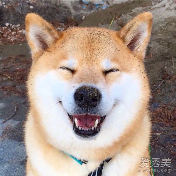 ����Ȯ��ô��ô�� ����Ȯ����Ǯһֻ ����Ȯ������