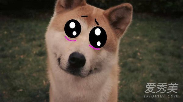 ����Ȯ��ô��ô�� ����Ȯ����Ǯһֻ ����Ȯ������