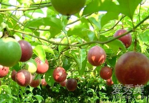 ���������ѿ��Գ��� ���������ܳ���