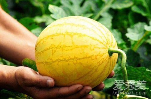 ����ɯ�׹ϵĹ�Ч������ ����ɯ�׹��и��ܳ���