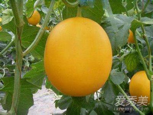 ����ɯ�׹ϵĹ�Ч������ ����ɯ�׹��и��ܳ���