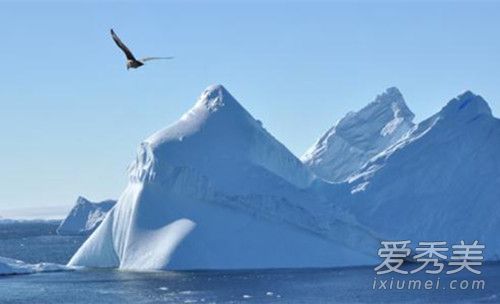 ��Ӱ�ϼ�����������ʲô �ϼ�������������ϼ��ĵ���