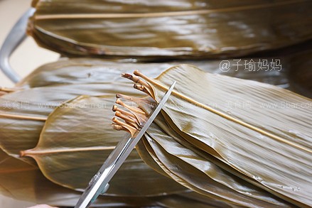 新鲜粽叶怎么处理 新鲜粽叶怎么包粽子