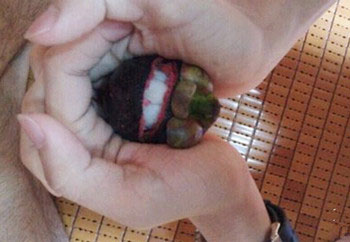 Ӳ��ɽ����ô�� ɽ��Ӳ�Ĵ򲻿���ô��