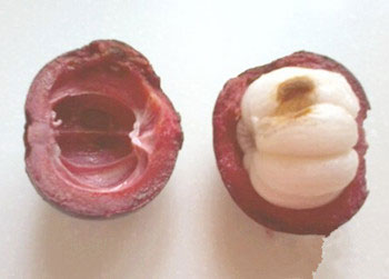 Ӳ��ɽ����ô�� ɽ��Ӳ�Ĵ򲻿���ô��