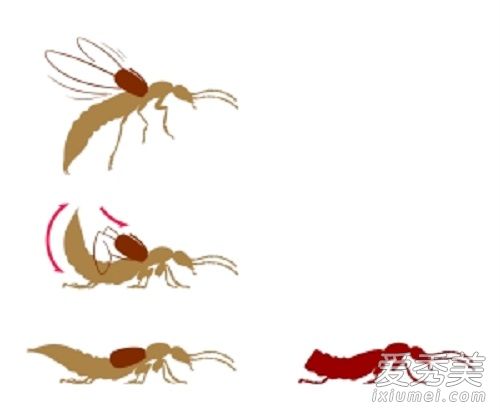 ������г���� ������ж���