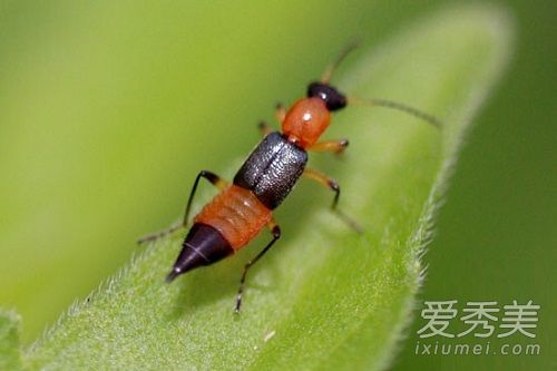 ������г���� ������ж���