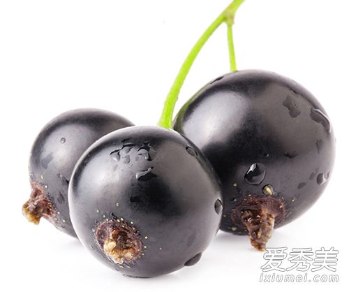 黑加仑是蓝莓吗 黑加仑和蓝莓的区别