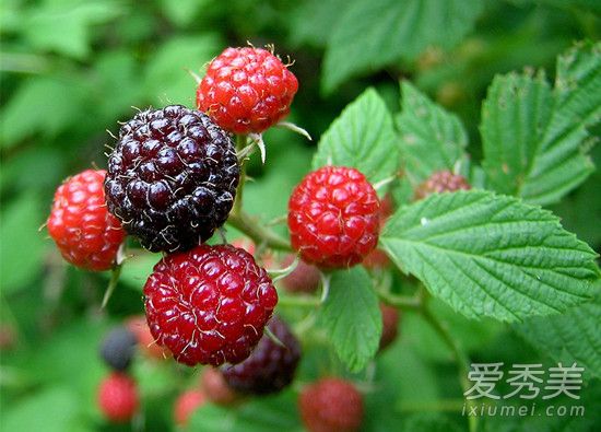 ��������ʲôˮ�� ��������ʲôζ��