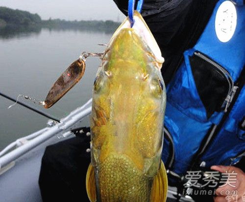 ������ʲô�� �����ǵ�ˮ����