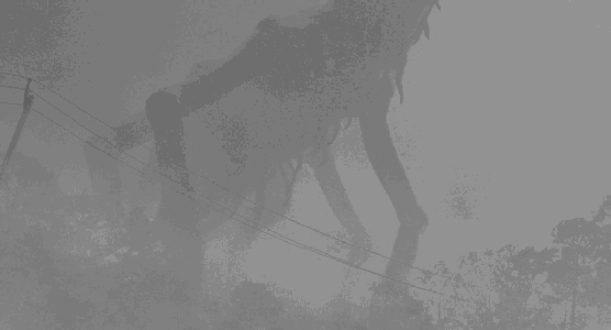 ����������һ��������ʲô ����������һ�����ʿ������