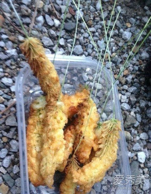 ��β�Ͳ��ܳ��� ��β�ͲݵĹ�Ч������