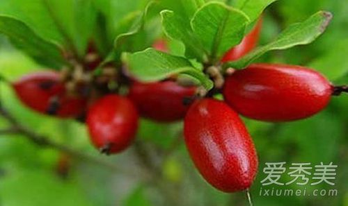 ���ع�Ϊʲô�����ع� ���ع�ʲôζ��