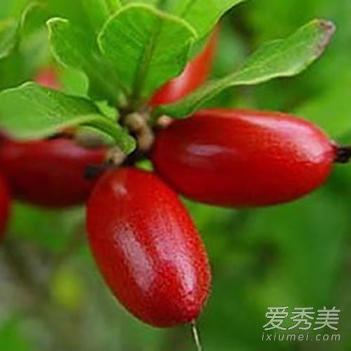 ���ع�Ϊʲô�����ع� ���ع�ʲôζ��