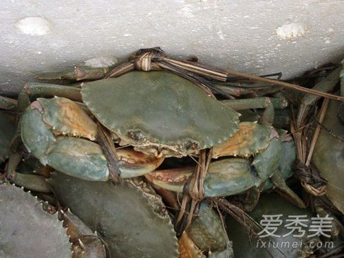 зô治 з˻ܳ