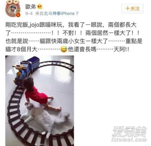 �������˻ع�������� �������������˻���ŷ������