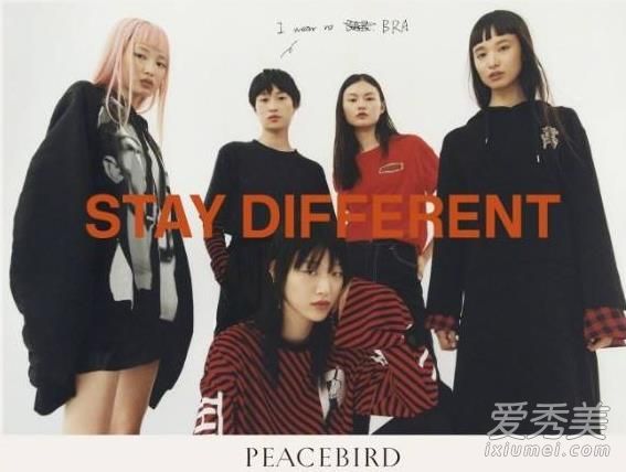 peacebird��ʲô����ʲô��λ peacebird̫ƽ��Ůװ��ô��